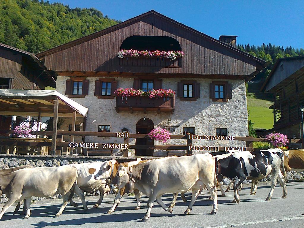 Ca. 2,8 km nach Sauris See