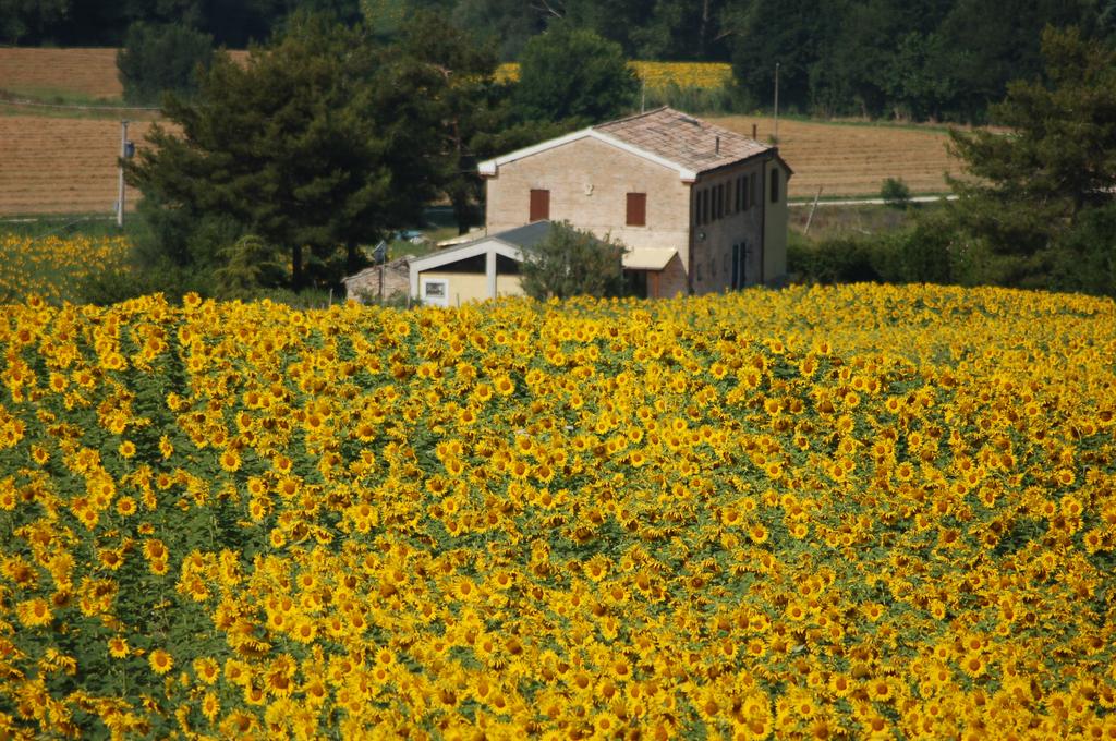 B&B Ca´ del Cardo