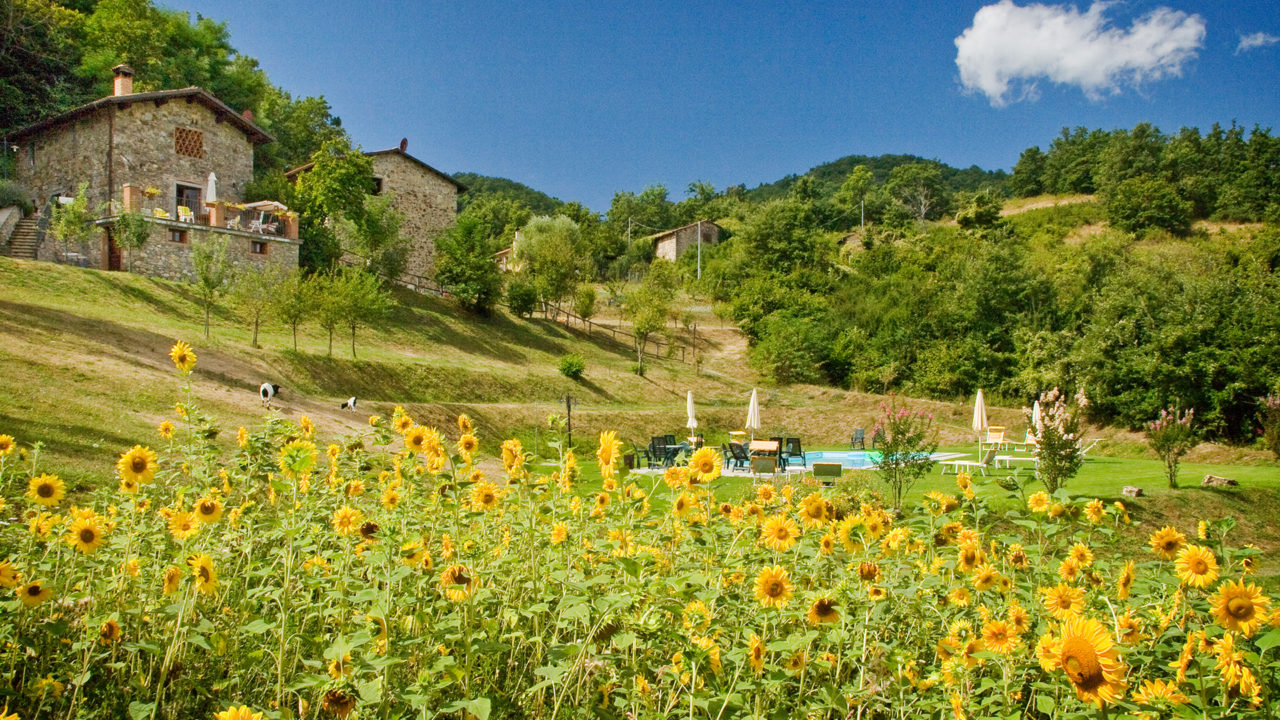 Agriturismo Al Sambuco