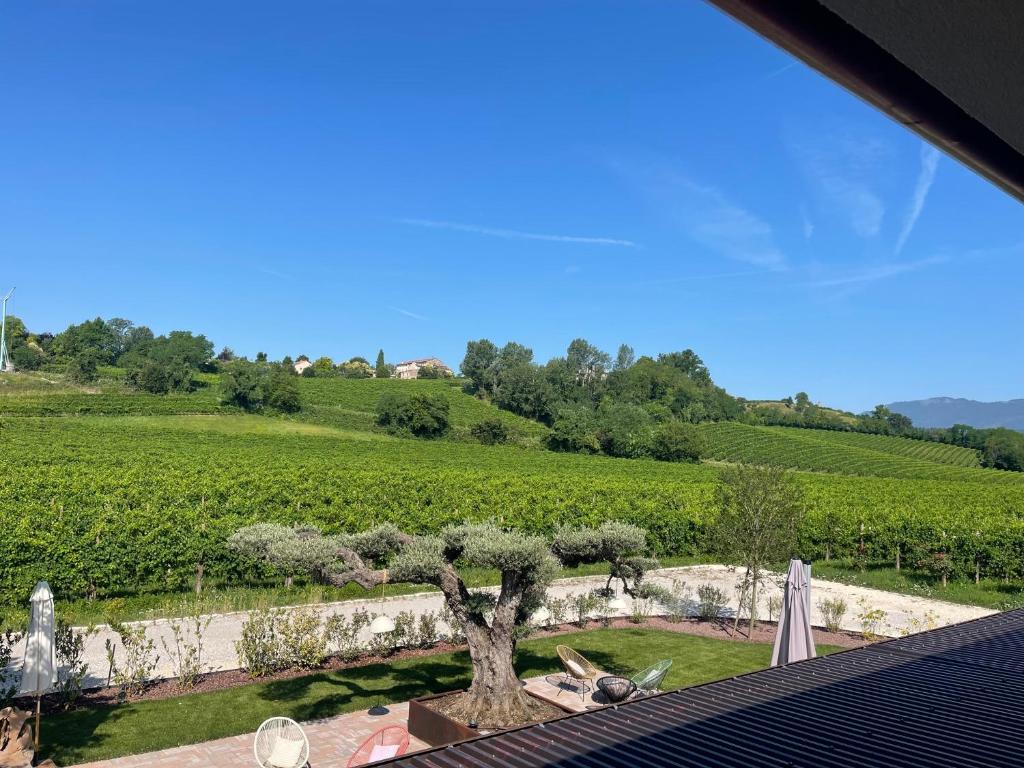 Agriturismo Camerin